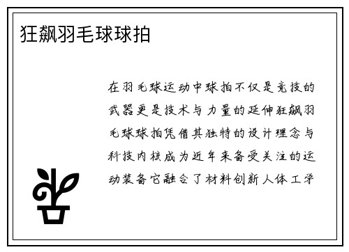 狂飙羽毛球球拍
