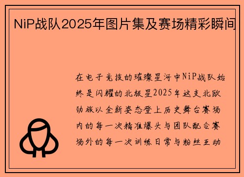 NiP战队2025年图片集及赛场精彩瞬间